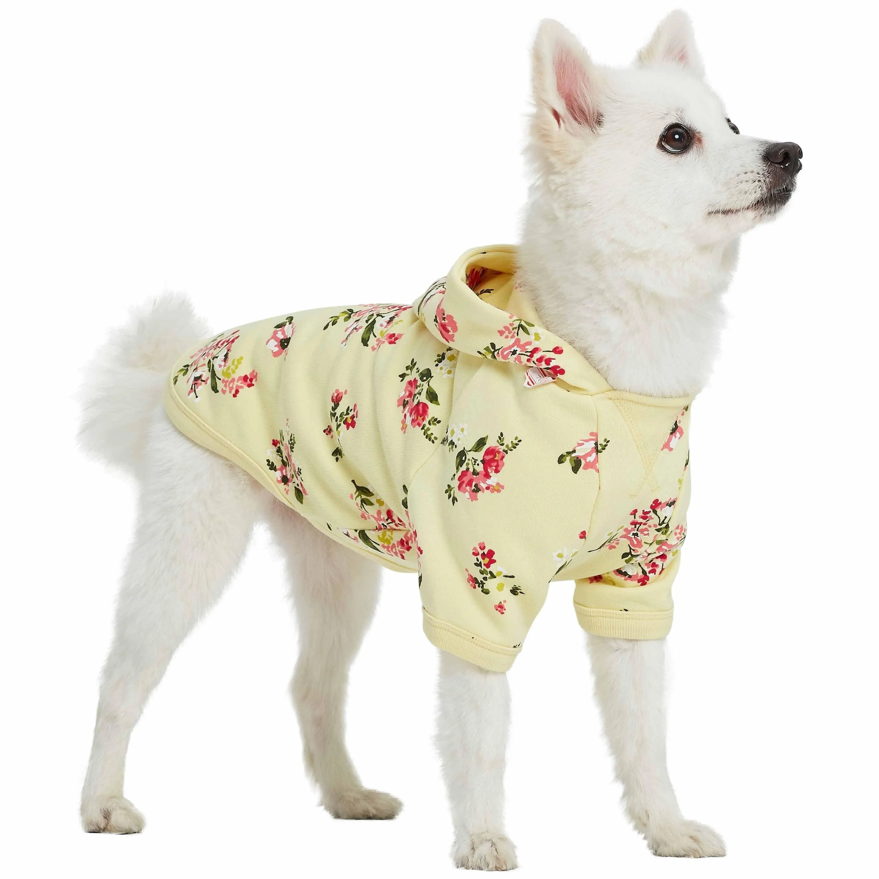 Spring-scented floral print Dog Hoodie