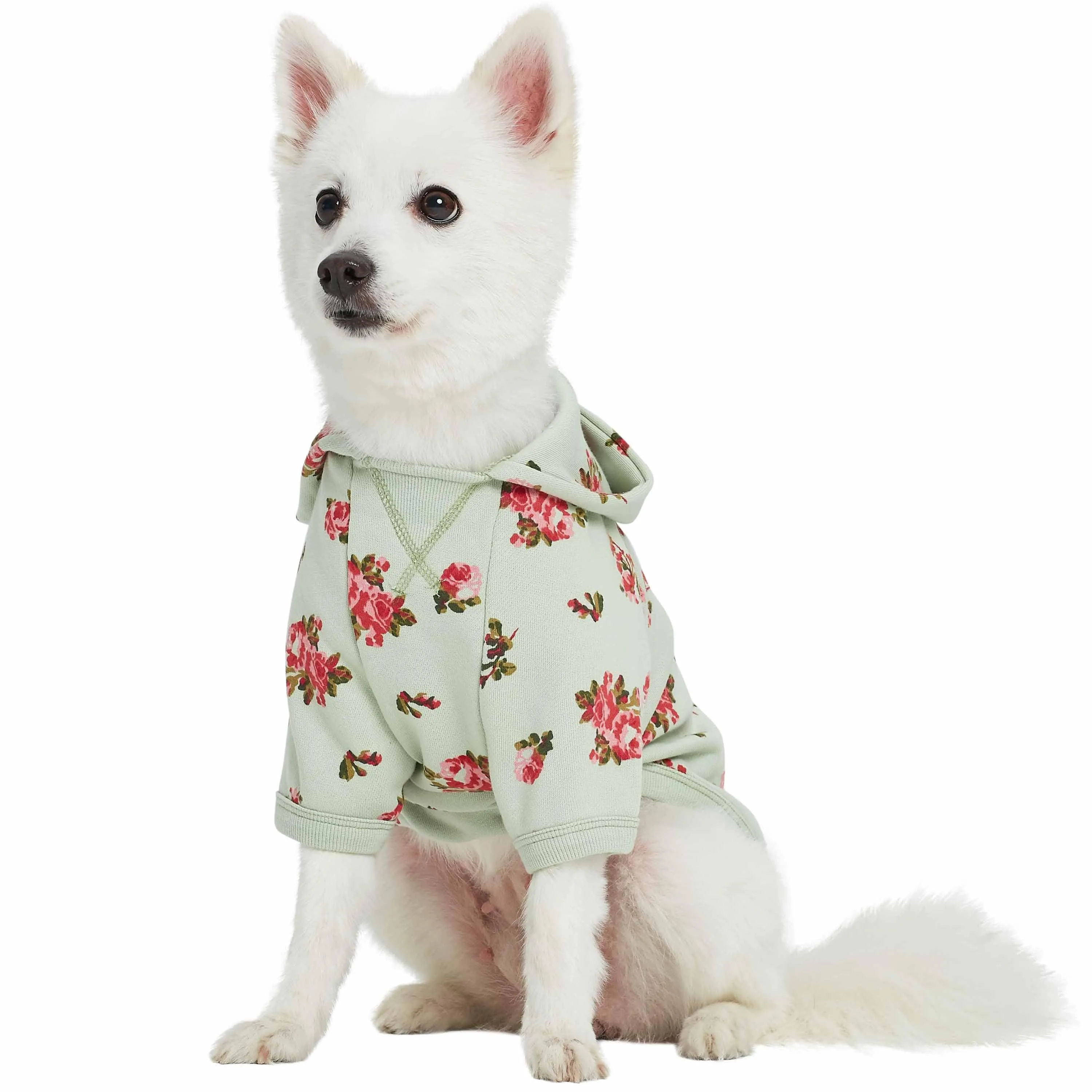 Spring-scented floral print Dog Hoodie