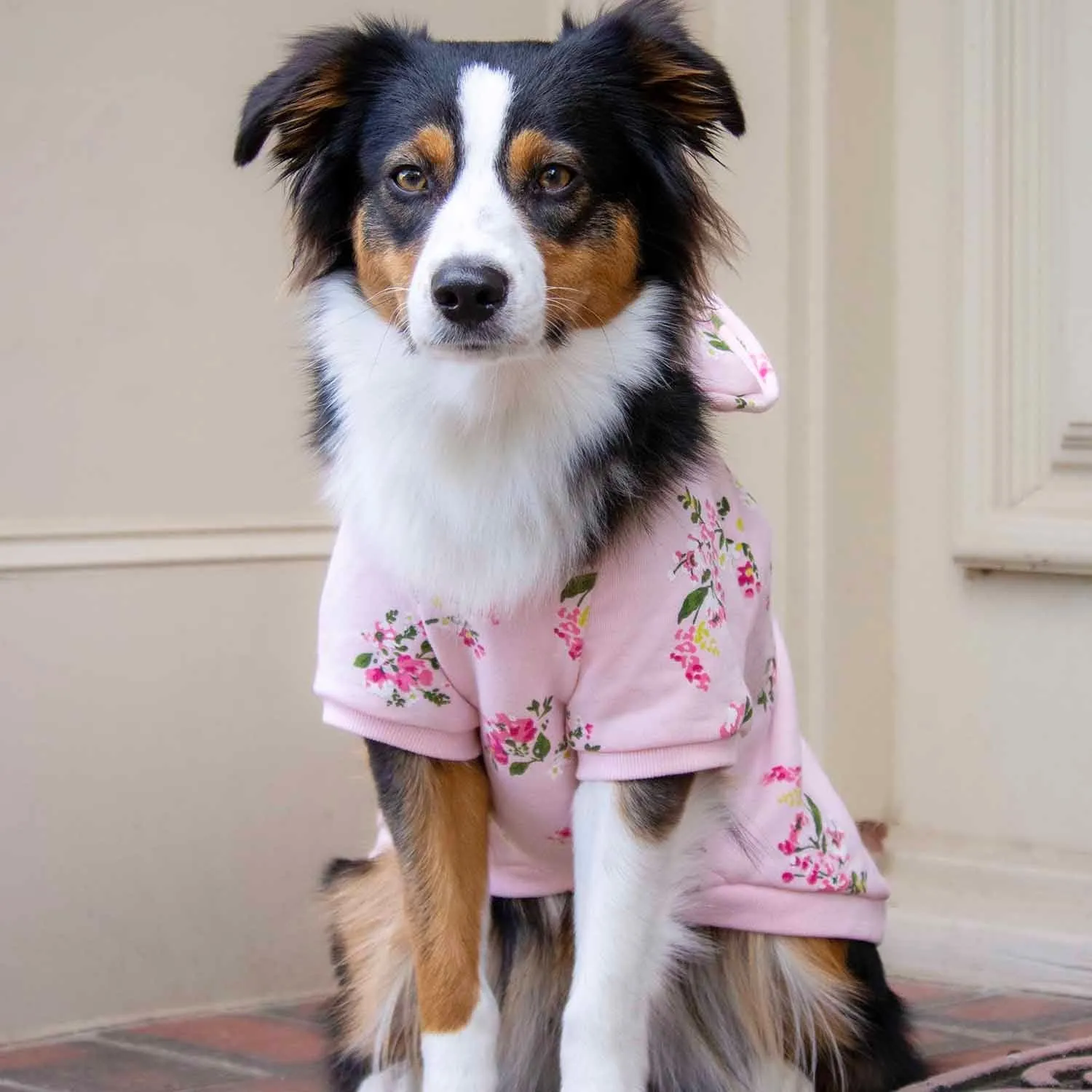 Spring-scented floral print Dog Hoodie