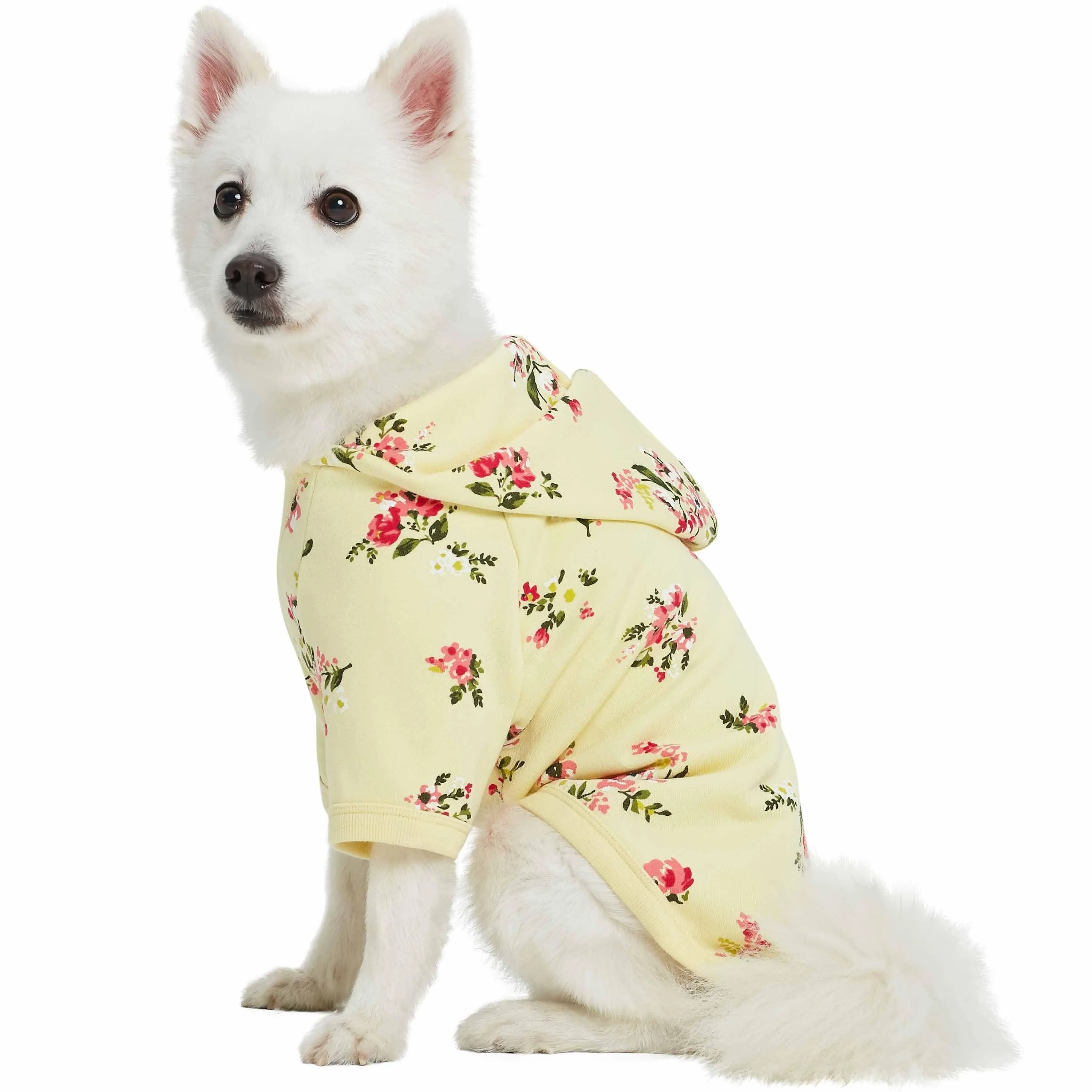 Spring-scented floral print Dog Hoodie
