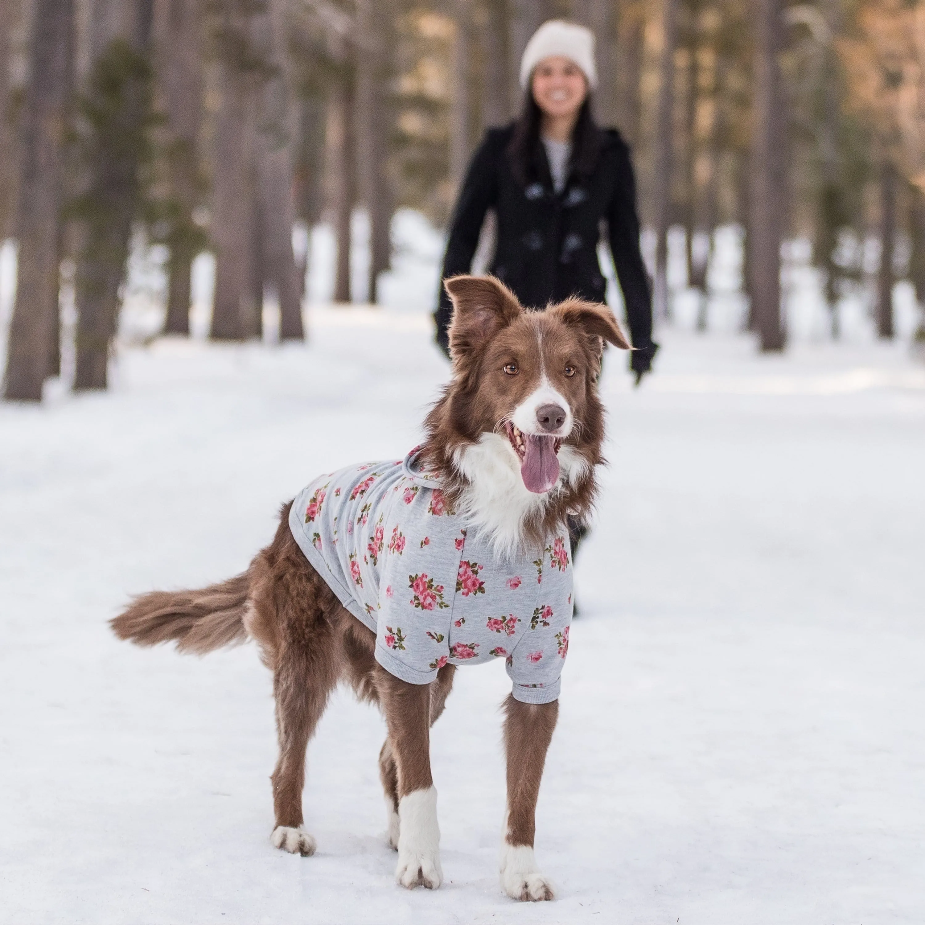 Spring-scented floral print Dog Hoodie
