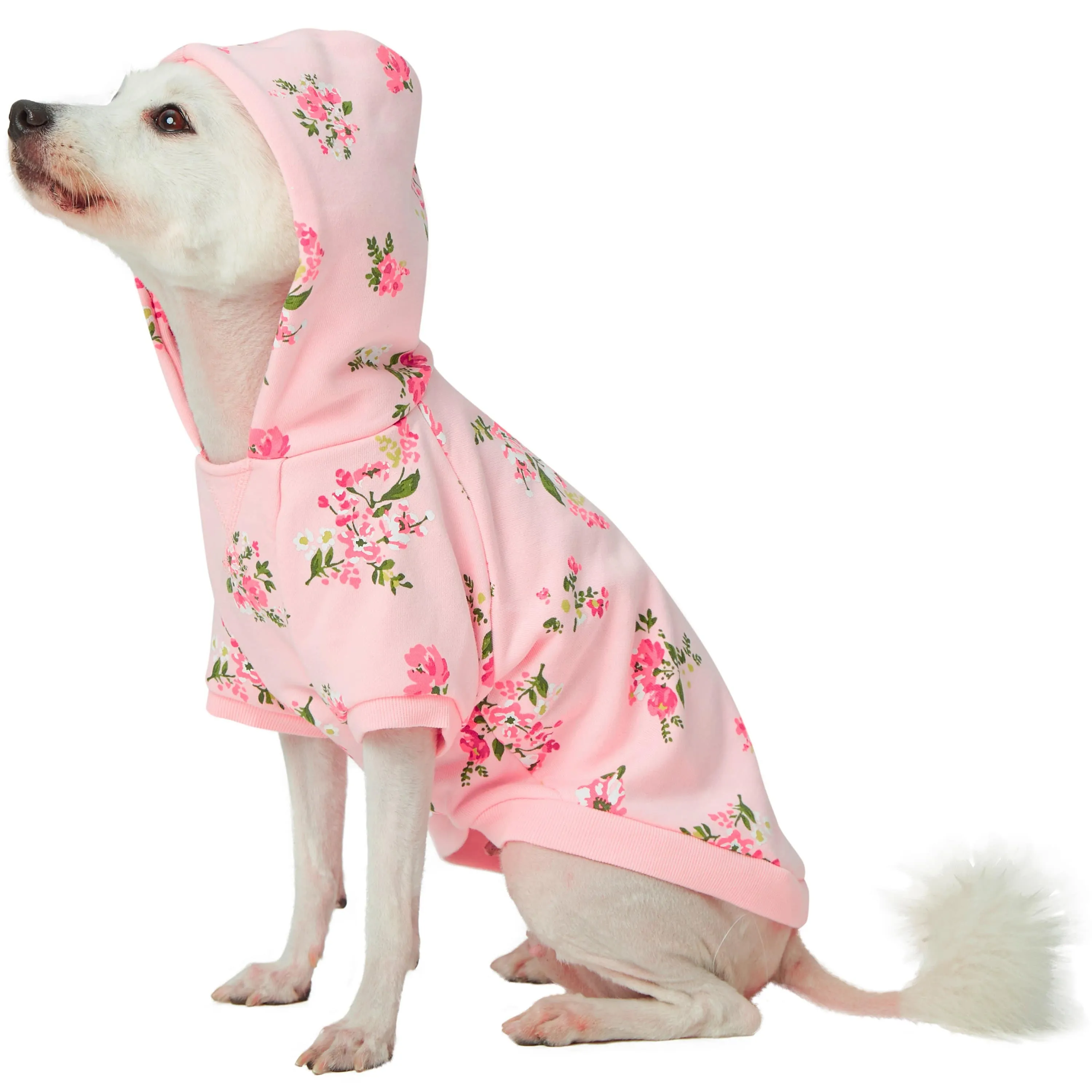 Spring-scented floral print Dog Hoodie