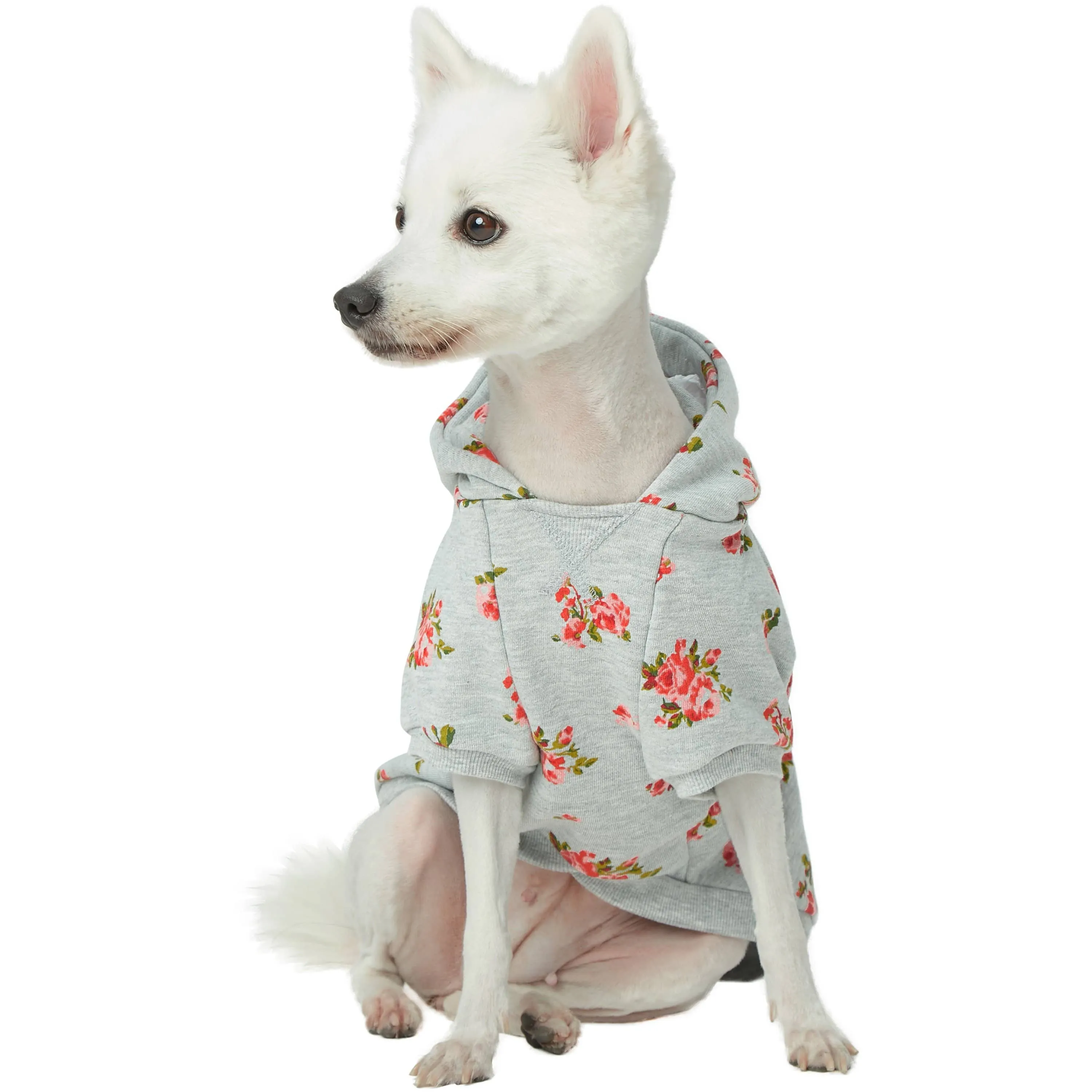 Spring-scented floral print Dog Hoodie
