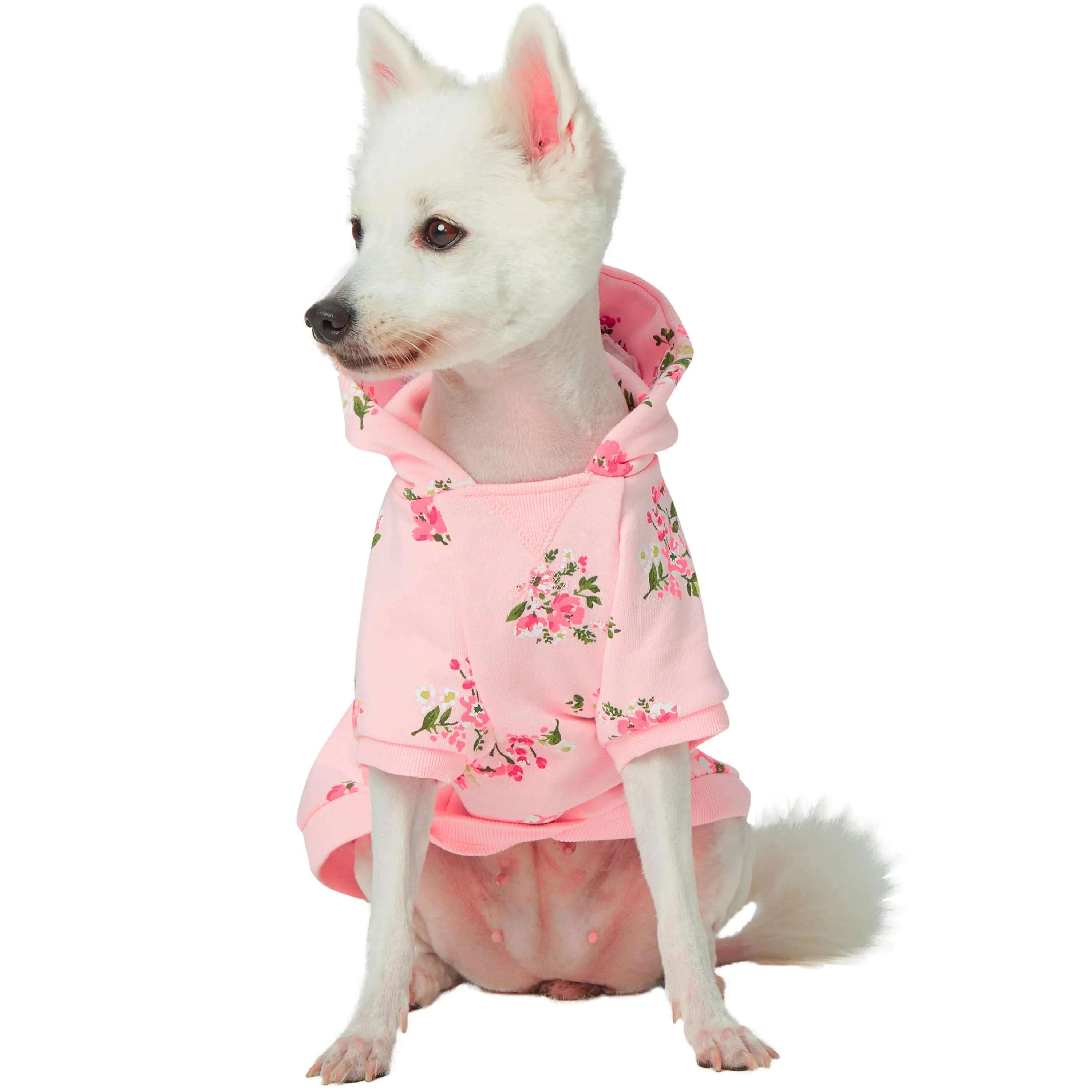 Spring-scented floral print Dog Hoodie